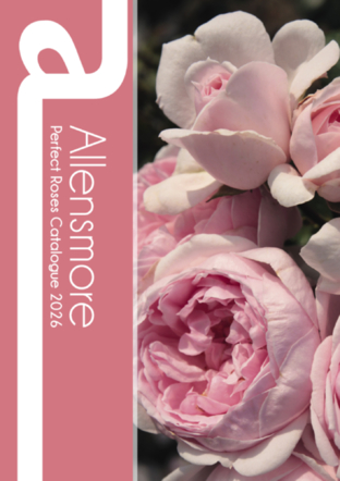 Perfect Roses Catalogue 2026
