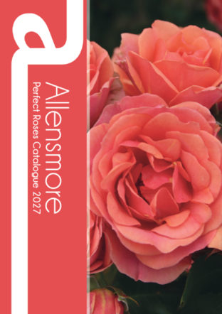 Perfect Roses Catalogue 2027