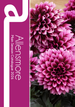 Main Season Catalogue 2026