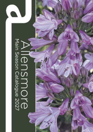 Main Season Catalogue 2027