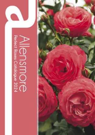 Perfect Roses Catalogue 2024
