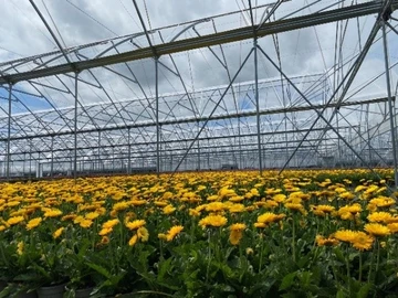Apprenticeship - Grower