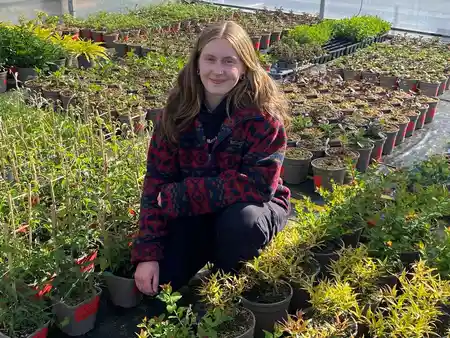 New Plant Trials