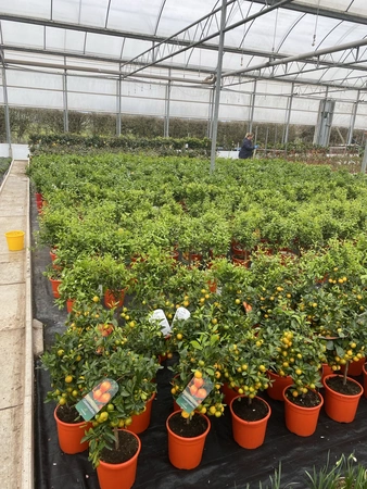 Specialist plants